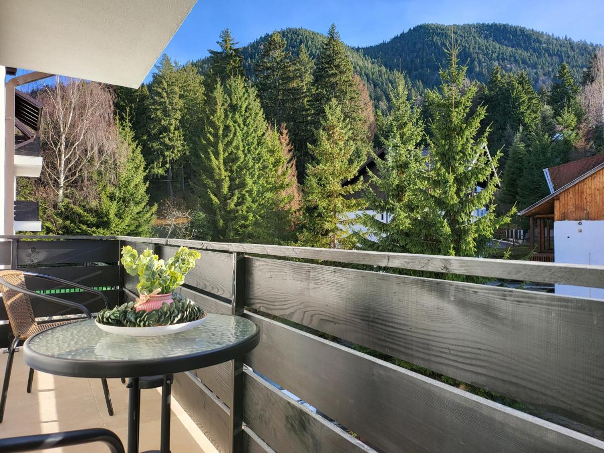 Dinvis Apartments Poiana Brasov Exterior foto